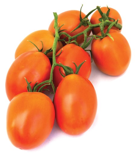 Tomate Saladette - Agroservicios Buenavista